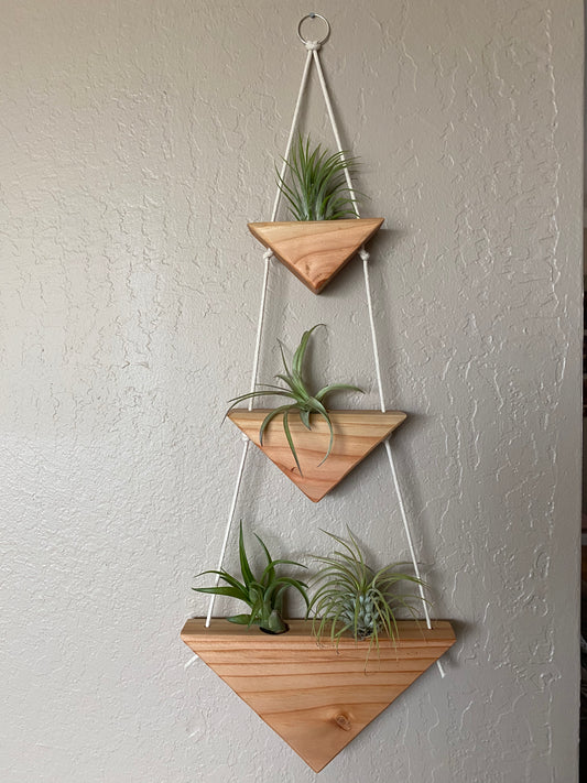 Hanging Air Plant Holder